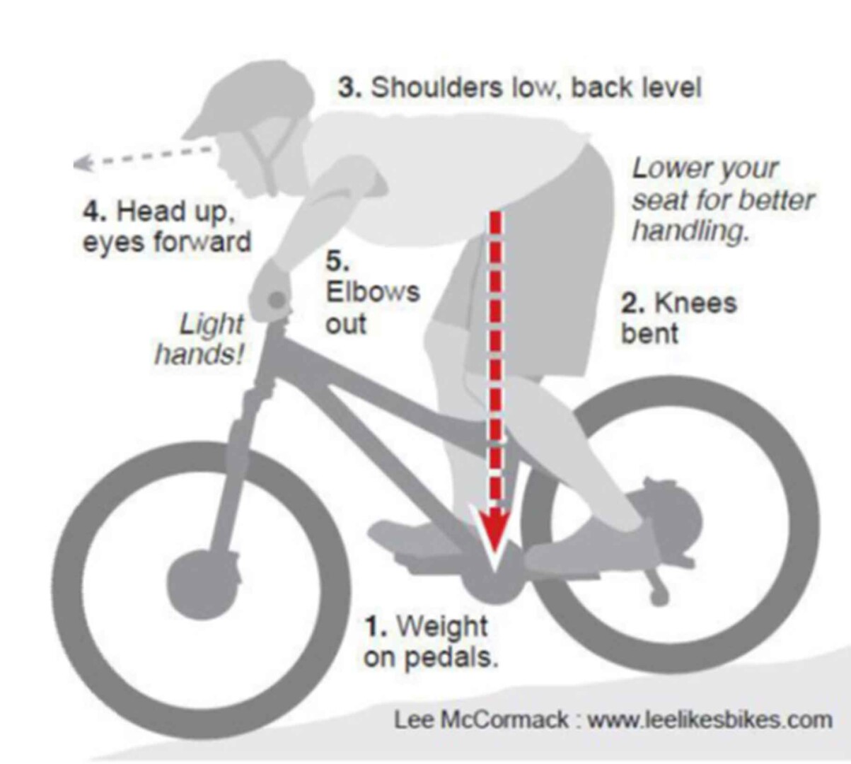 Treningi kolarskie MTB